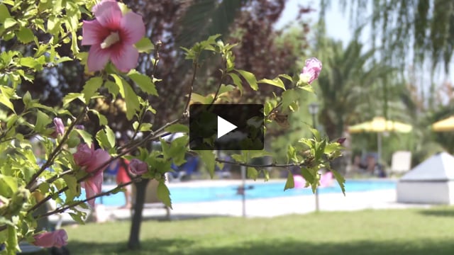 Hotel Esperia - video z Giaty