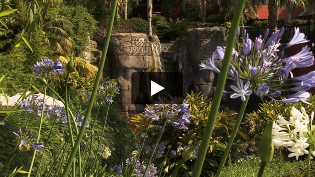 Barcelo Asia Gardens Hotel & Thai Spa - video z Giaty