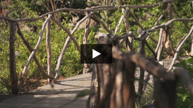 Quinta do Arco - video z Giaty