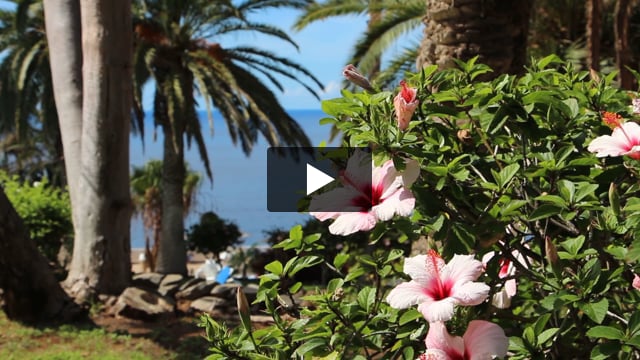 Precise Resort Tenerife - video z Giaty