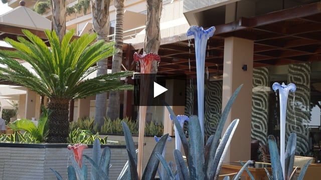 Four Seasons Limassol - video z Giaty