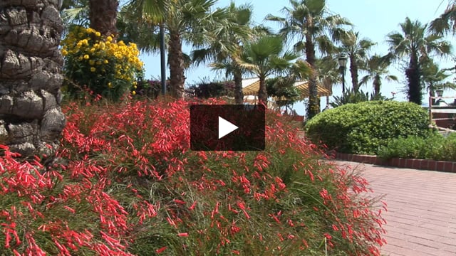 Xperia Kandelor Hotel - video z Giaty