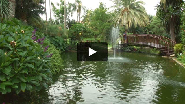 Hotel Botanico - video z Giaty