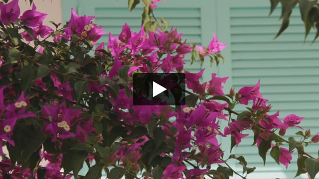 Labranda Tahona Garden - video z Giaty